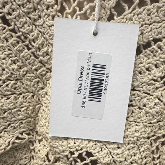 Polagram Cream Lace Maxi Dress - Picture 4 of 6